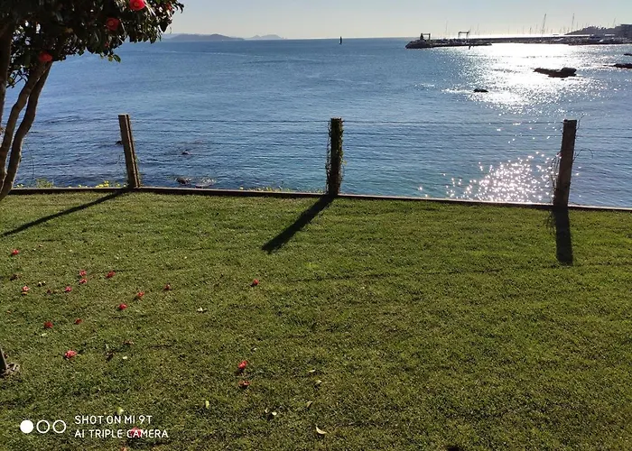 Mareventus * サンシェンショ