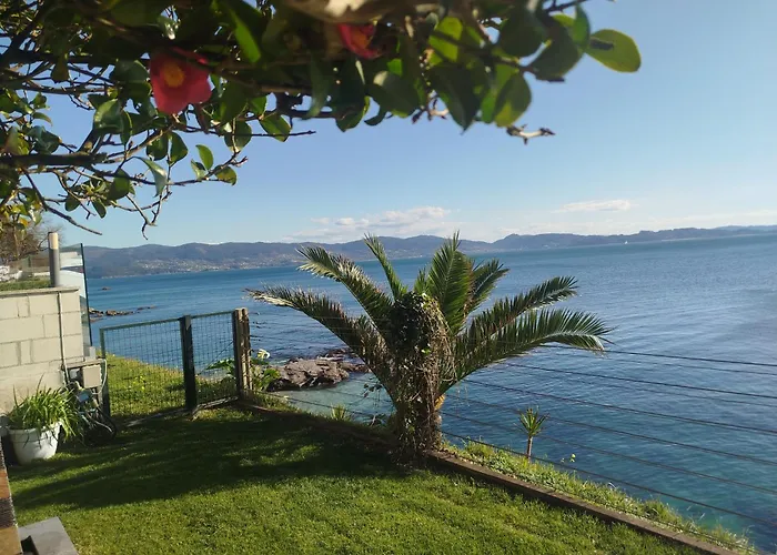 Mareventus サンシェンショ