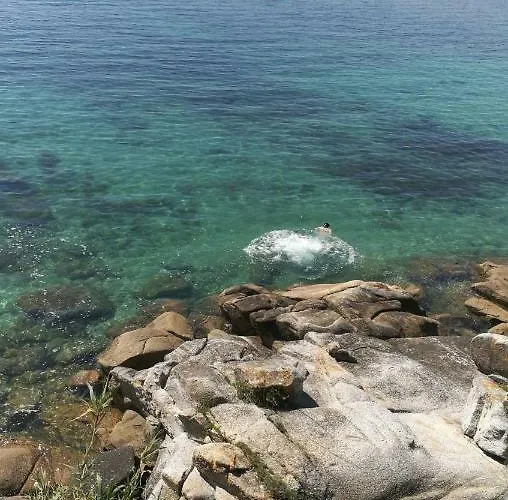 Mareventus * サンシェンショ