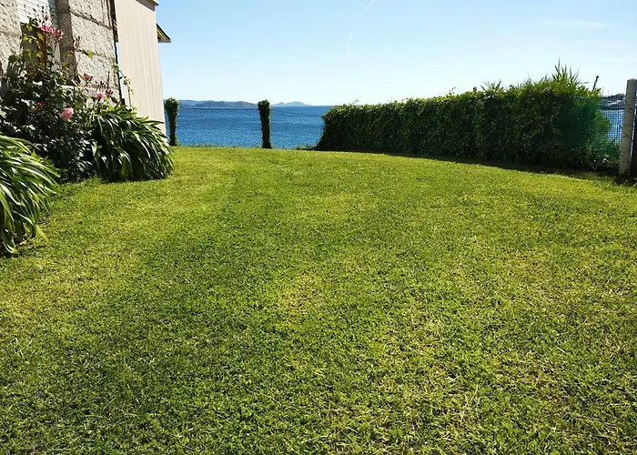 Mareventus サンシェンショ